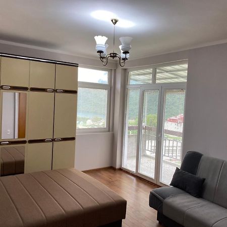 Linden Apartment Плужине Екстер'єр фото